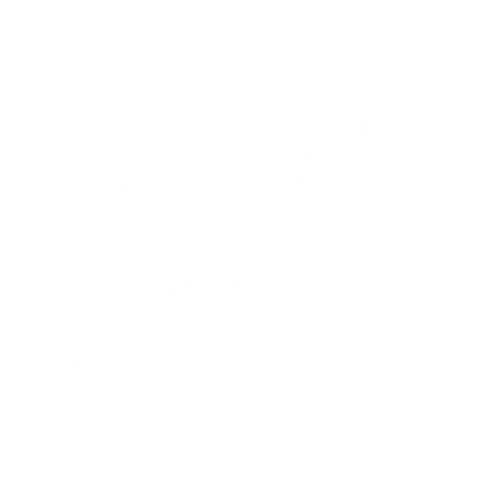 Asset